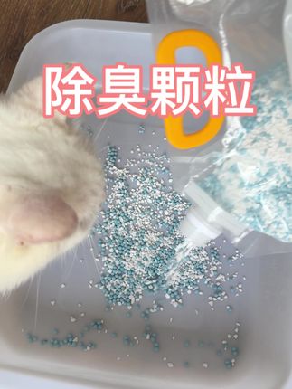 就是这个小东西为我省了一千斤猫砂#萌宠出道计划 #猫咪#猫咪除臭 #猫砂盆除臭