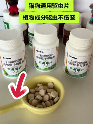 #狗狗驱虫 #百虫铩片 #科学养宠攻略 #养狗的乐趣 #养狗经验分享
