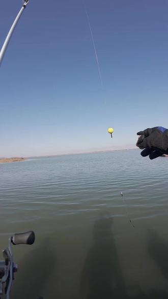 冬季钓鲫必杀技!路亚竿抛深水,球球逗钓挂红虫,轻松爆护! #球球钓法技巧教学 #创作者中心 #创作灵感#球球逗钓鲫鱼 #球球冬钓鲫鱼