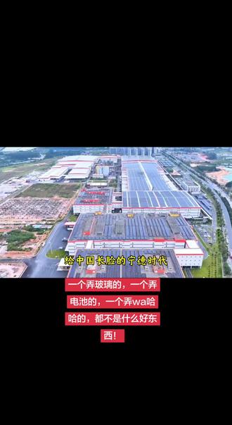 不管什么企业都是一个鸟样!