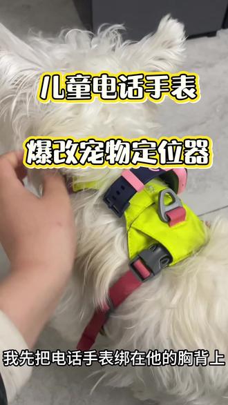 给猫猫也可以用哦#小狗🐶 #宠物定位器