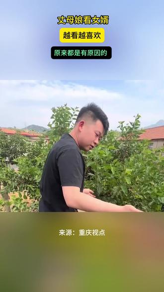 丈母娘看女婿,越看越喜欢,原来都是有原因的