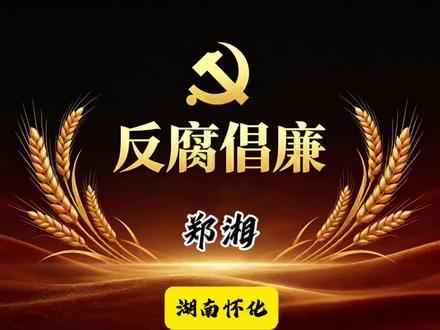 湖南怀化|郑湘#社会百态 #民生关注 #我的观影报告 #反腐倡廉 #湖南怀化