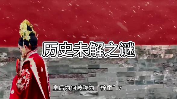 #历史 #历史故事 #历史未解之谜 皇后为何被称之为“梓童”