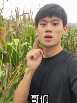 放你一亩一敢玩吗?#权威 #玉米