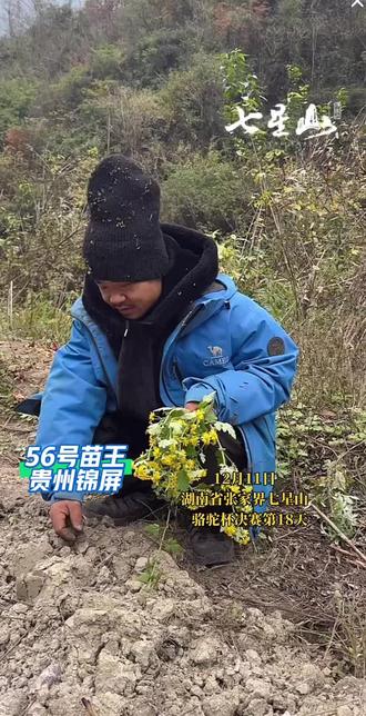 兄弟们苗王站起来了,还是有点感冒但是不影响比赛#七星山#张家界 #苗王 #锦屏 #山里 @荒野吴烦恼(苗王)