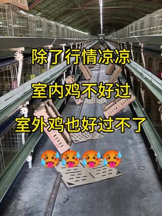 天气🥵室内室外的好帮手来了#三农 #三农养殖 #畜禽好帮手#畜禽神器冰凉一夏