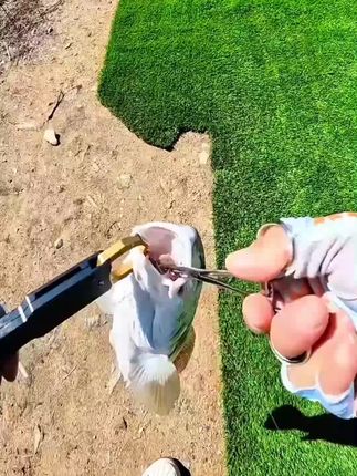 #钓鱼工具 #钓鱼的乐趣只有钓鱼人懂 #钓鱼人
