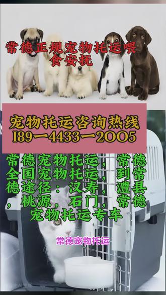 常德宠物托运,常德全国宠物托运,到常德途径:汉寿,澧县,桃源,石门,常德宠物托运专车让爱宠安心相伴每一段旅程,专业宠物托运服务为家庭驯养的猫犬打造舒适出行方案。采用人宠分离的隔离运输模式,配备专用运输箱体,内置空气循环、温湿度监控与降噪除味功能,确保宠物活动空间舒适。全程有专人看护,定时巡视检查、补充饮水,实时关注宠物状态。支持线上便捷预约,流程透明清晰,可同步规划出行行程。托运需提供有效动物检疫合格证明,仅限健康、符合体型标准的宠物,从源头把控。运输区域定期清洁消毒,避免影响公共环境,兼顾宠物福利与其他旅客体验。让每一次携宠出行都省心放心,陪伴不分距离,守护爱宠平安抵达目的地。托运笼舍的空间大小,完全适配宠物的体型。不会过于狭小导致宠物无法舒展,也不会过于空旷让宠物缺乏感。小型宠物的笼舍精致紧凑,大型宠物的笼舍宽敞舒适,每一只宠物都能在自己的空间里自由活动。合适的空间让宠物倍感舒适,旅途 #常德正规宠物托运喂食安抚 #常德宠物托运飞机托运 #常德猫狗宠物托运