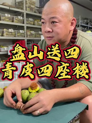 盘山一对送四青皮四座楼款式可选#文玩核桃 #文玩爱好者 #青皮核桃 #四座楼狮子头