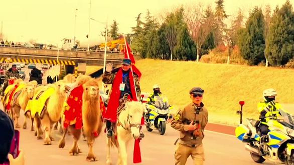 今天新疆东天山重走丝绸之路骆驼🐫队,中午两点到渭南南河堤路啦!之后会经过潼关,然后进入河南,目的地河南洛阳!!!