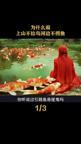 为什么说上山不捡鸟河边不捞鱼#香文化 #中国文化