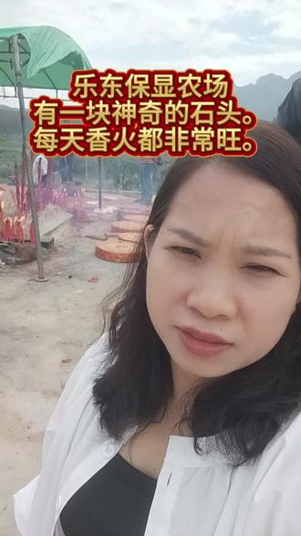 海南乐东保险农场有一块神奇的石头,每天有慕名而来一堆香客。#海南乐东保显 #神奇石头 #海南旅游