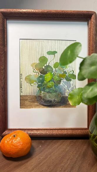 水彩小植物铜钱草—财源滚滚! 铜钱草可爱好养意义好!铜钱草跟练来啦!#盆栽种植 #抖音水彩 #跟练版 #水彩教程 #跟着抖音学画画