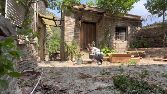 50元租的山居里如何打造属于我的莫奈花园 #初夏的味道 #那远山呼唤我 #花园生活 #想看看你的莫奈花园 #田园生活