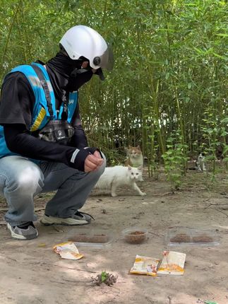 这是我每天必须做的事……