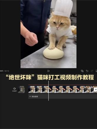 “绝世坏咪”猫咪打工系列视频制作教程 #小云雀AI #爆款视频复刻AI #小云雀seedance #教程 #绝世坏猫