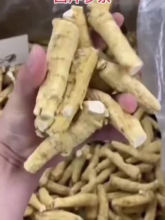 长白山西洋参条50条起拍 煲汤炖汤煮水