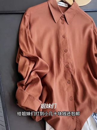 CX108【出口原单】法式高级优雅百搭显瘦遮肉衬衫-西西