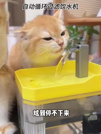饮水机让小猫随时随地都能喝到干净水,全自动循环过滤的。保持水质一直清新状态