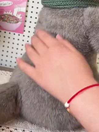 #上热门 太可爱了#毛绒玩具 #毛绒公仔 #玩偶