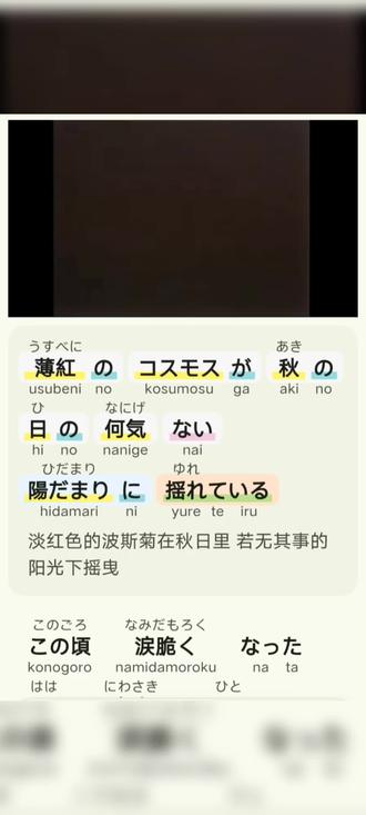 听歌学日语山口百惠《秋樱》