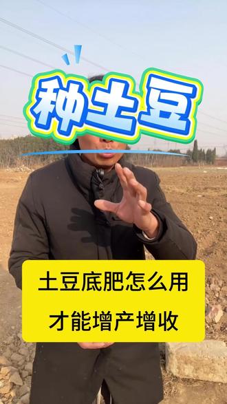 土豆底肥怎么用才能增产增收#土豆病害#土豆芽朝上#土豆施肥#土豆打药#土豆高产 #马铃薯 #洋芋 #三农