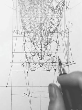 明婷画画(lemsyeming)