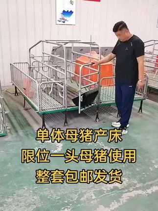 单体母猪产床,限位一头母猪使用 全国包邮发货#农村养猪 #养猪人不容易 #单体产床 #猪用产床 #双体产床