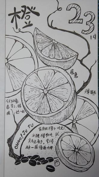 画个橙子 手绘日记023 #日记 #手账 #钢笔画 #速写