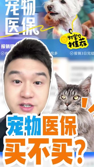 宠物医保要不要买?#宠物医保 #宠物医院 #猫生病 #养猫人