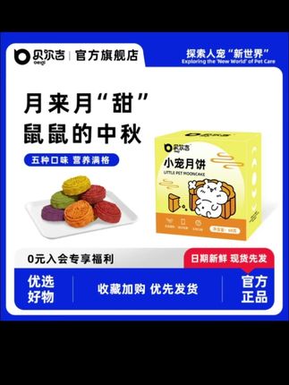 只有养鼠人才懂的仪式感 #仓鼠 #仓鼠日常 #金丝熊 #养鼠日常分享 #养宠人的治愈谁懂啊