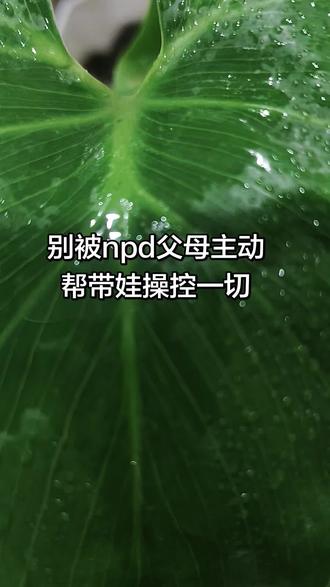 别被npd父母积极帮忙带娃操控小家,当你发现npd父母特别热心肠帮忙带孩子,别着急开心,请思考一下是真爱?有爱人能力?有共情力?#npd家族#npd老人#控制欲望#婚姻#