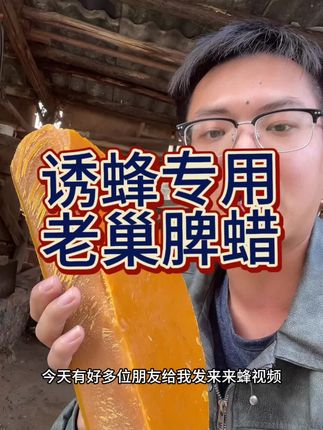 老巢诱蜂蜡、六年老品质!#老巢脾蜂蜡#诱蜂