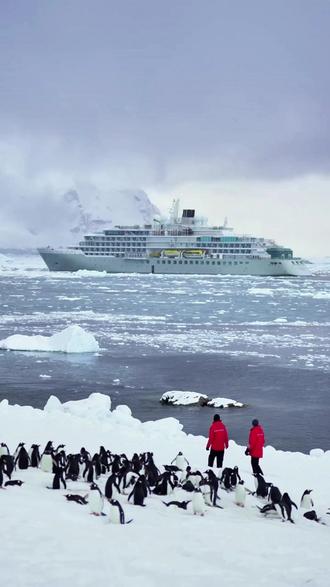 为什么越来越多的中国人选择去南极旅行?南极的意义到底是什么!#南极#旅行推荐#中老年旅行#终极梦想#人生理想#看世界#刺激#探险#南极邮轮#世界尽头