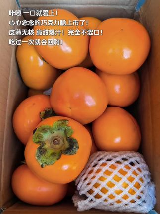 这个糖心巧克力脆柿真是一口就爱上啊!皮薄无核 脆甜爆汁!完全不涩口,真的巨好吃!#巧克力脆柿子 #新鲜采摘 #脆柿子 #新鲜应季水果 #柿子熟了