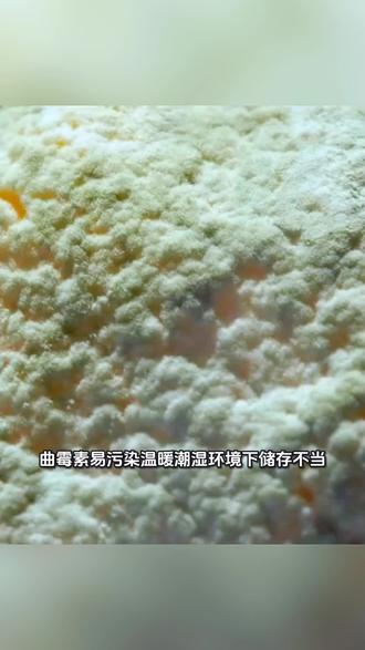 哪些食物易产生曲霉素?#科普 #涨知识 #健康 #每日分享