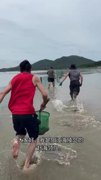 假期 海陵岛赶海咯 约起来 #海边赶海 #赶海的快乐 #赶海收获满满 #赶海日常 来约