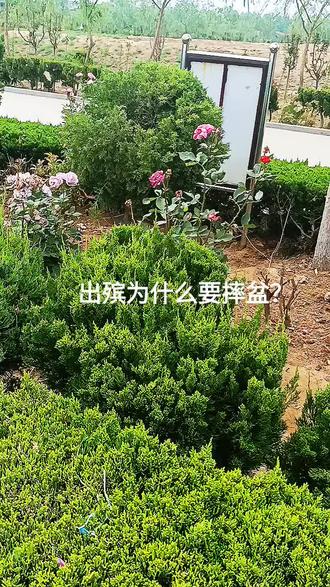 出殡为什么要摔盆?#丧葬文化 #风水宝地 #殡葬 #风水玄学 #墓穴 永安陵园