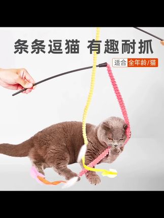 FOFOS/两只福狸【两只装】长条绒羽毛丝绒逗猫棒猫玩具柔软优质毛绒#好物推荐🔥 #宠物用品推荐 #宠物出道计划 #好东西一起分享