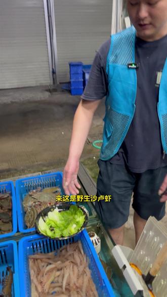 野生沙卢虾1斤80 #海鲜 #赶海 #火锅