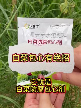 #农业种植 #每天分享农业小知识