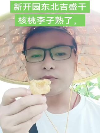 东北新开园吉盛干核桃李子熟了,