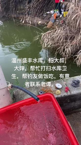 温州 盛丰垂钓园15869695340微信同号