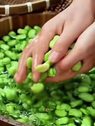 绿宝蚕豆种子秋冬绿宝七星特大高产蚕豆种子罗汉豆种籽早熟耐寒#蚕豆##蚕豆种子 #罗汉豆种子 #高产豆种 #耐寒蔬菜种子