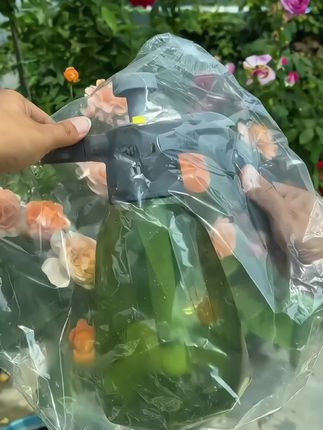 #气压式喷壶 #喷壶#园艺