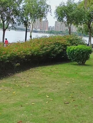 #充电器#快充线 #快充充电头#苹果充 电器#苹果充电器