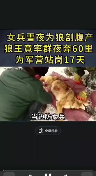 野狼回头,必有缘由,
不是报恩,就是报仇!
🐺🐺🐺🐺🐺🐺🐺🐺