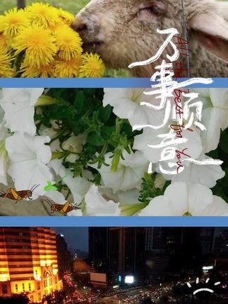 复古港风一对装碎发夹女边夹侧边刘海夹子头饰2025新款前额bb夹#随时随地标记一下#在抖音入手的好东西#无限回购的宝藏单品#男士神仙单品