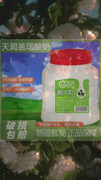 【师父同款】新疆盖瑞酸奶大桶装2.4斤/桶水果捞网红新疆老酸奶原味#新疆酸奶 #大桶酸奶 #网红酸奶 #原味酸奶 #水果捞酸奶